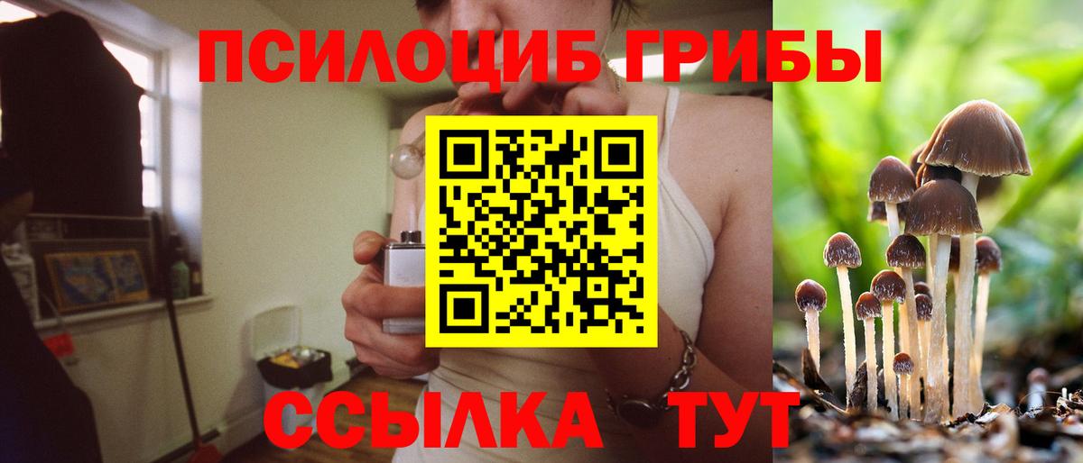 Галлюциногенные грибы GOLDEN TEACHER  Псилоцибиновые грибы Psilocybe  Семёнов  Вход с VPN 